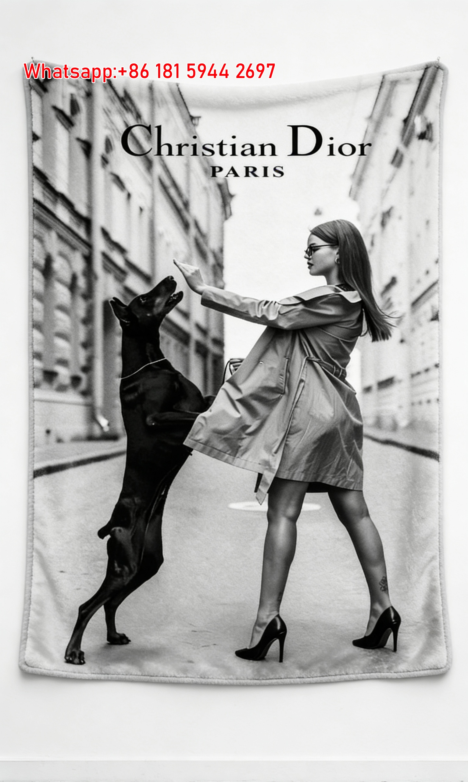 Christian Dior Doberman Pinscher Flannel Sofa Throw Blanket D487